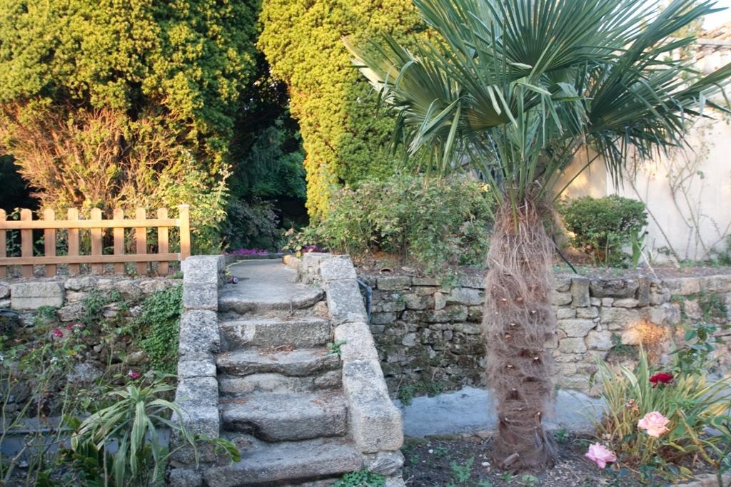Le Petit Chateau - Tiffauges Proche Puy Dufou Bagian luar foto