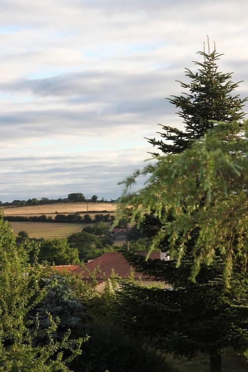 Le Petit Chateau - Tiffauges Proche Puy Dufou Bagian luar foto